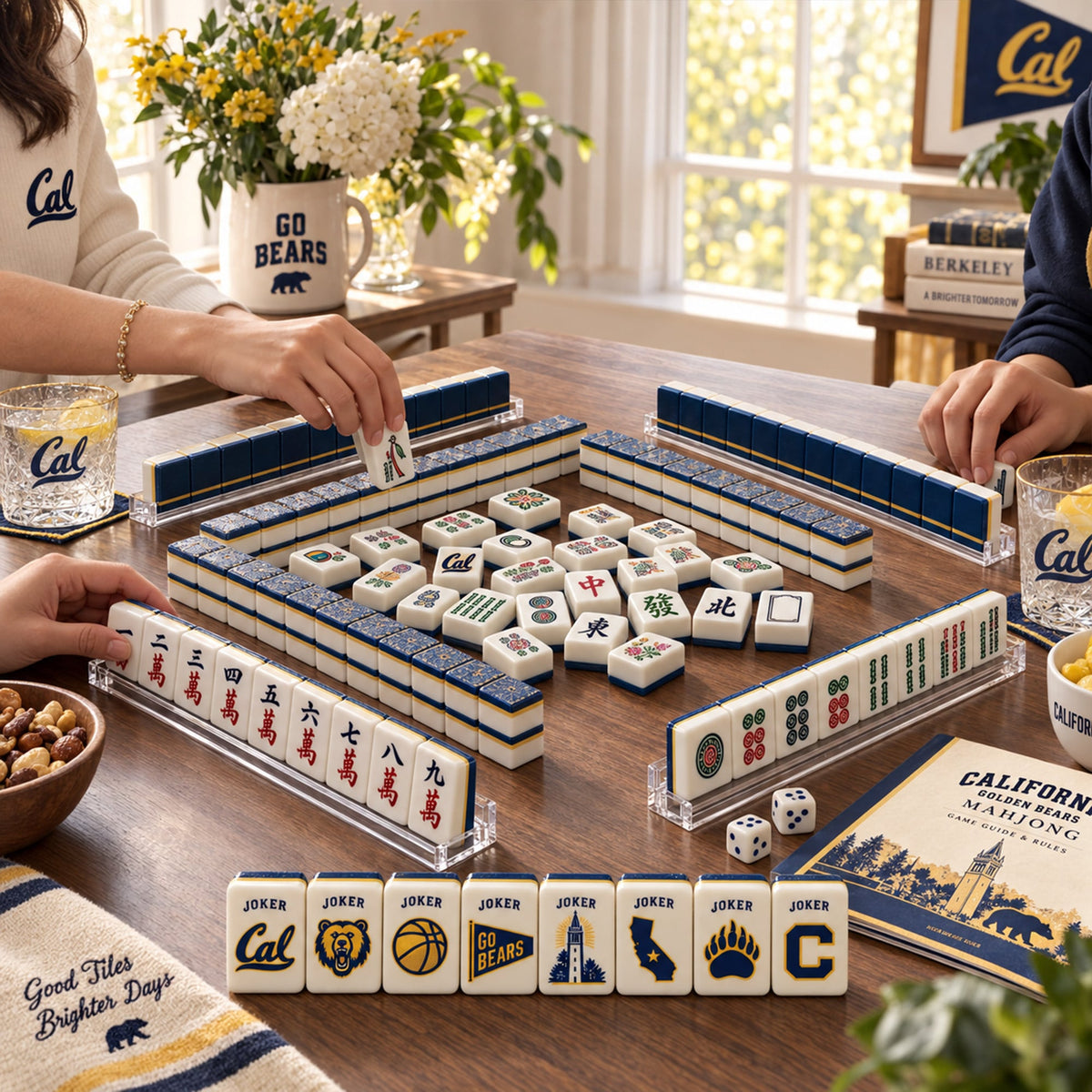 Premium CGB Mahjong Tiles Set TNSM